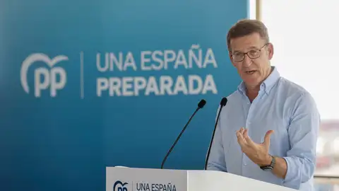 El presidente del PP, Alberto Núñez Feijóo. El presidente del PP, Alberto Núñez Feijóo.