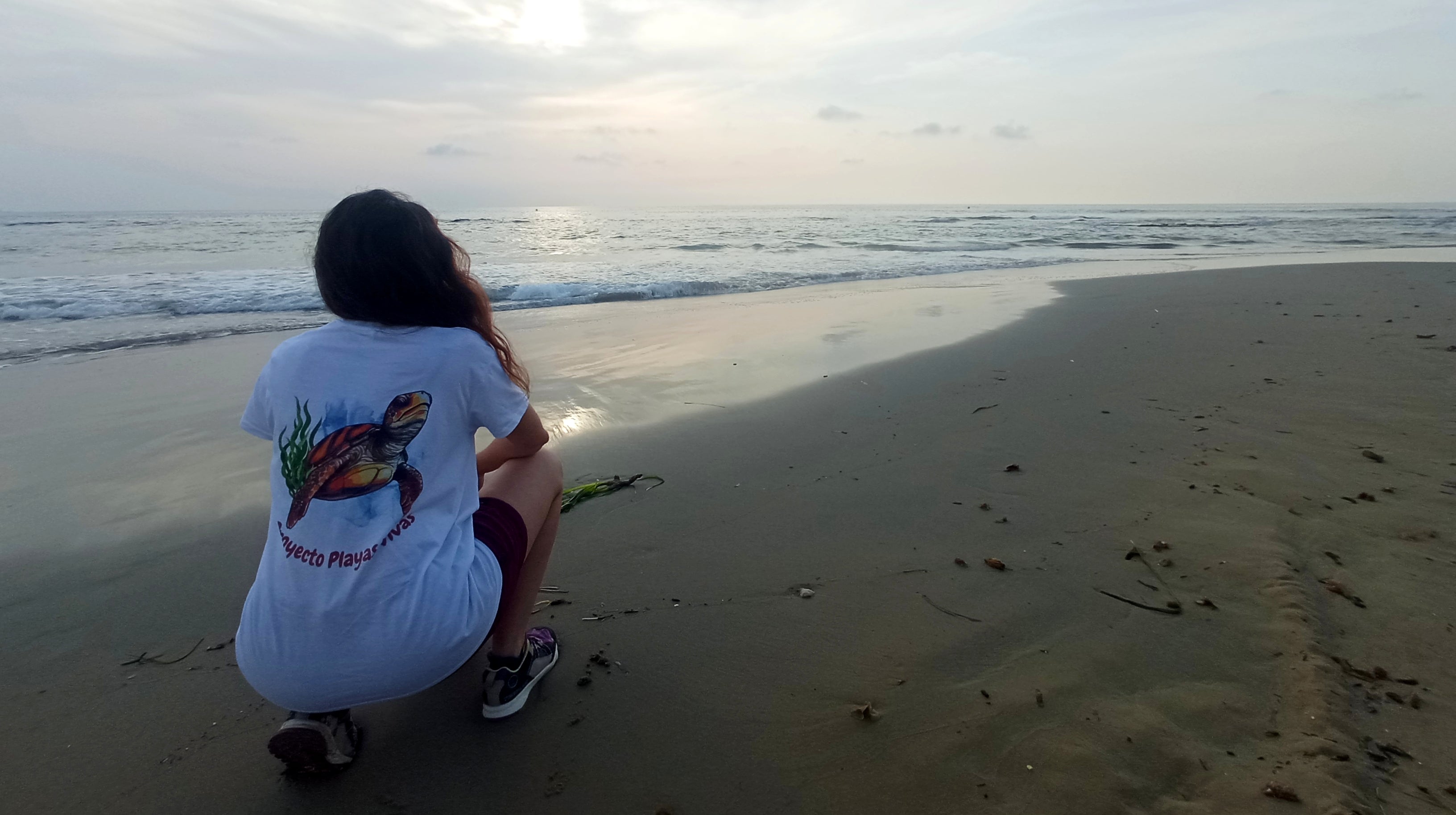La Asociación Faunatura pone en marcha el Proyecto Playas Vivas, para proteger la rica y variada biodiversidad en la costa sur de Alicante La Asociación Faunatura pone en marcha el Proyecto Playas Vivas, para proteger la rica y variada biodiversidad en la costa sur de Alicante