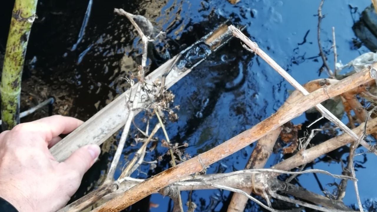 El orden mundial: ¿Las compañías energéticas llevan años mintiéndonos con el calentamiento global? El orden mundial: ¿Las compañías energéticas llevan años mintiéndonos con el calentamiento global?