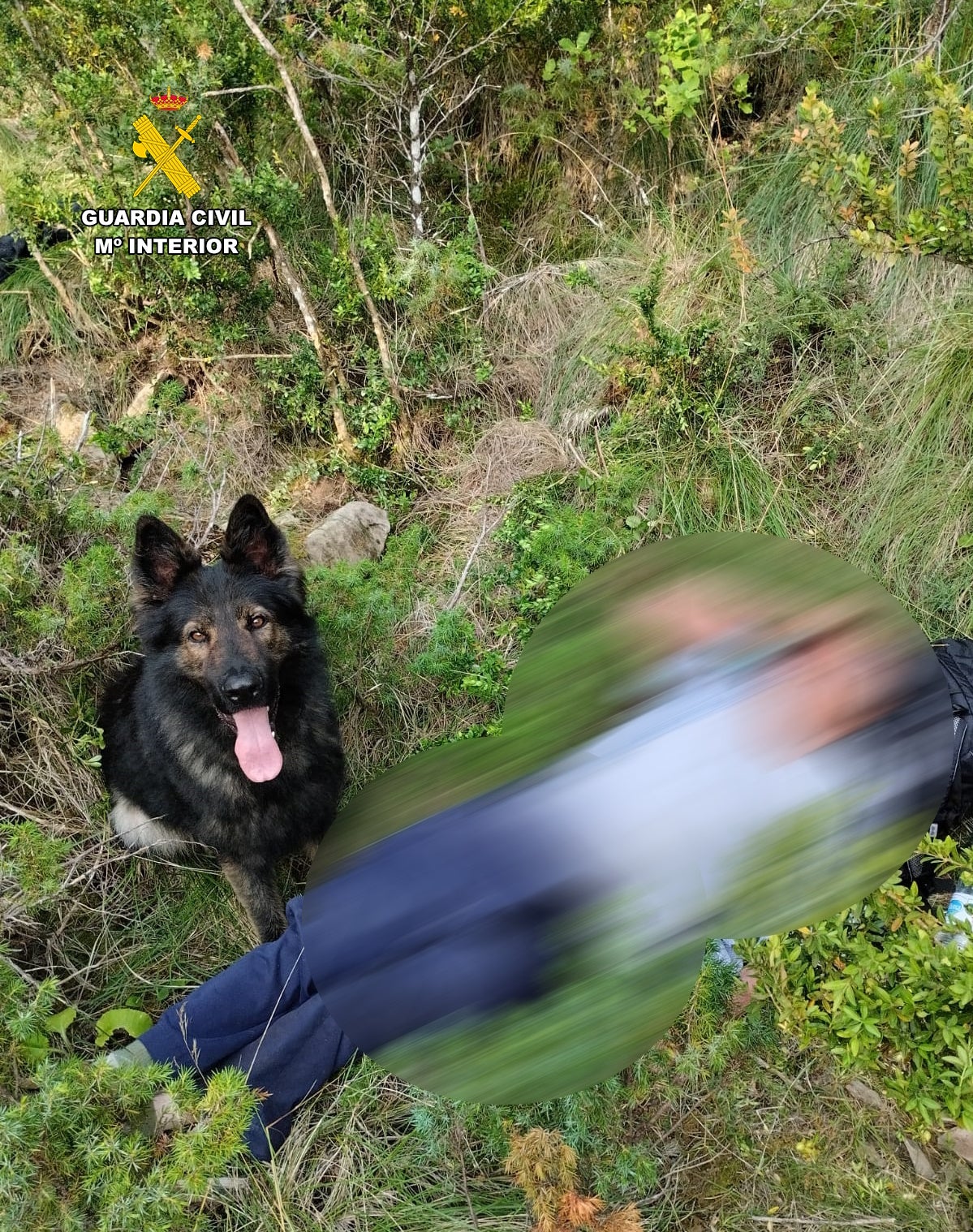 Un perro de rescate halla ileso a un hombre que había desaparecido en el Pirineo oscense Un perro de rescate halla ileso a un hombre que había desaparecido en el Pirineo oscense