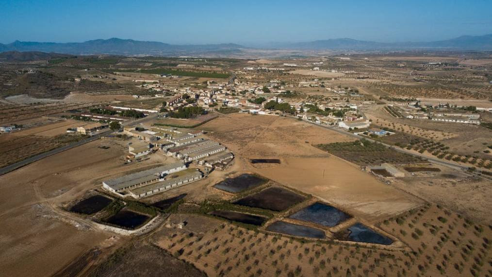 Piden la dimisión del consejero Luengo por autorizar ampliaciones de granjas porcinas sin medir su impacto ambiental Piden la dimisión del consejero Luengo por autorizar ampliaciones de granjas porcinas sin medir su impacto ambiental