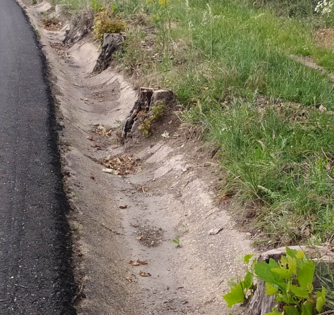 Ecologistas en Acción critica la tala de árboles en las obras de la CL-601 Ecologistas en Acción critica la tala de árboles en las obras de la CL-601