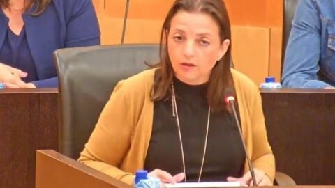La portavoz del PSOE de Benidorm, Cristina Escoda