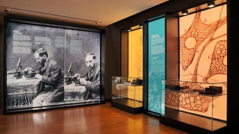 Muestra El legado hist&oacute;rido de Ram&oacute;n y Cajal