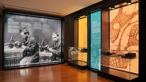 Muestra El legado histórido de Ramón y Cajal Muestra El legado histórido de Ramón y Cajal