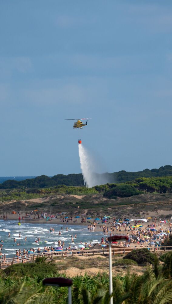 Labores de extinción del incendio en la zona forestal de la playa del Carabassí de Elche.