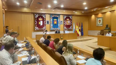 El pleno ratifica la nueva estructura municipal en Talavera El pleno ratifica la nueva estructura municipal en Talavera