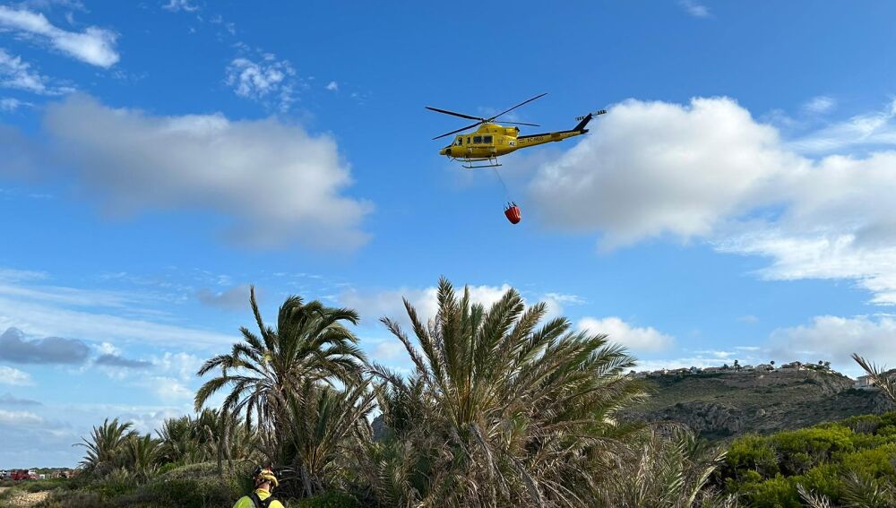 Labores de extinción del incendio en la zona forestal de la playa del Carabassí de Elche.