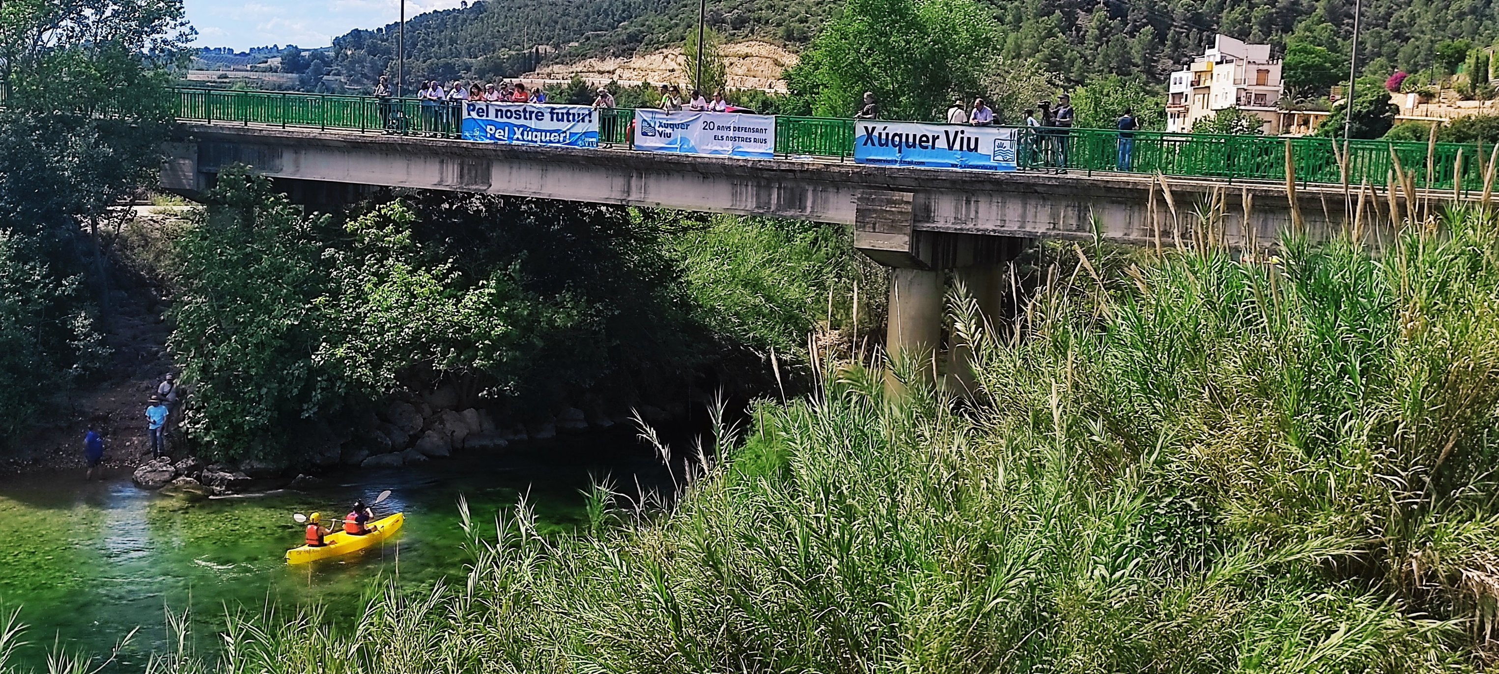 Xúquer Viu celebra sus 20 años defendiendo al río y la Albufera con una canción y un videoclip Xúquer Viu celebra sus 20 años defendiendo al río y la Albufera con una canción y un videoclip