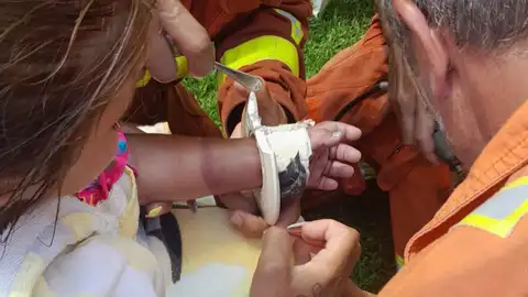 Bomberos Niña Rescate Piscina Bomberos Niña Rescate Piscina
