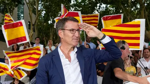El presidente del PP y candidato a la presidencia del Gobierno, Alberto Núñez Feijóo. El presidente del PP y candidato a la presidencia del Gobierno, Alberto Núñez Feijóo.