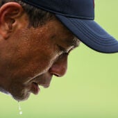 Tiger Woods sudando