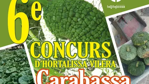 Concurso de calabaza vilera. Concurso de calabaza vilera.
