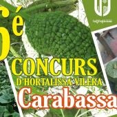 Concurso de calabaza vilera.