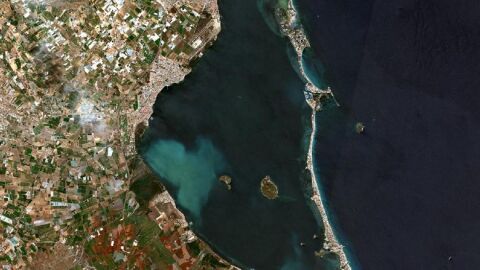 ANSE y WWF afirman que la derogación de la Ley del Mar Menor sería un grave retroceso con consecuencias ambientales y económicas ANSE y WWF afirman que la derogación de la Ley del Mar Menor sería un grave retroceso con consecuencias ambientales y económicas