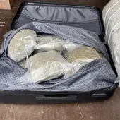 Maleta con paquetes de marihuana Maleta con paquetes de marihuana