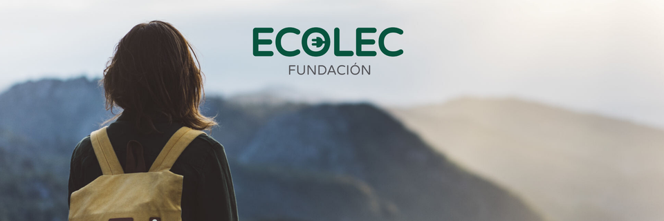 Segovia gestionó el año pasado 272 toneladas de residuos eléctricos Segovia gestionó el año pasado 272 toneladas de residuos eléctricos