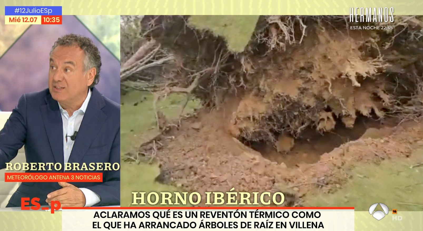Efectos de la ola de calor: el reventón térmico que ha arrancado árboles en Villena, Pinoso y Caudete Efectos de la ola de calor: el reventón térmico que ha arrancado árboles en Villena, Pinoso y Caudete