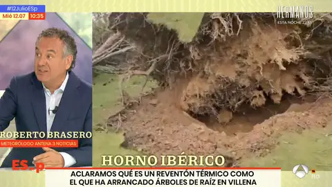 Efectos de la ola de calor: el reventón térmico que ha arrancado árboles en Villena, Pinoso y Caudete Efectos de la ola de calor: el reventón térmico que ha arrancado árboles en Villena, Pinoso y Caudete