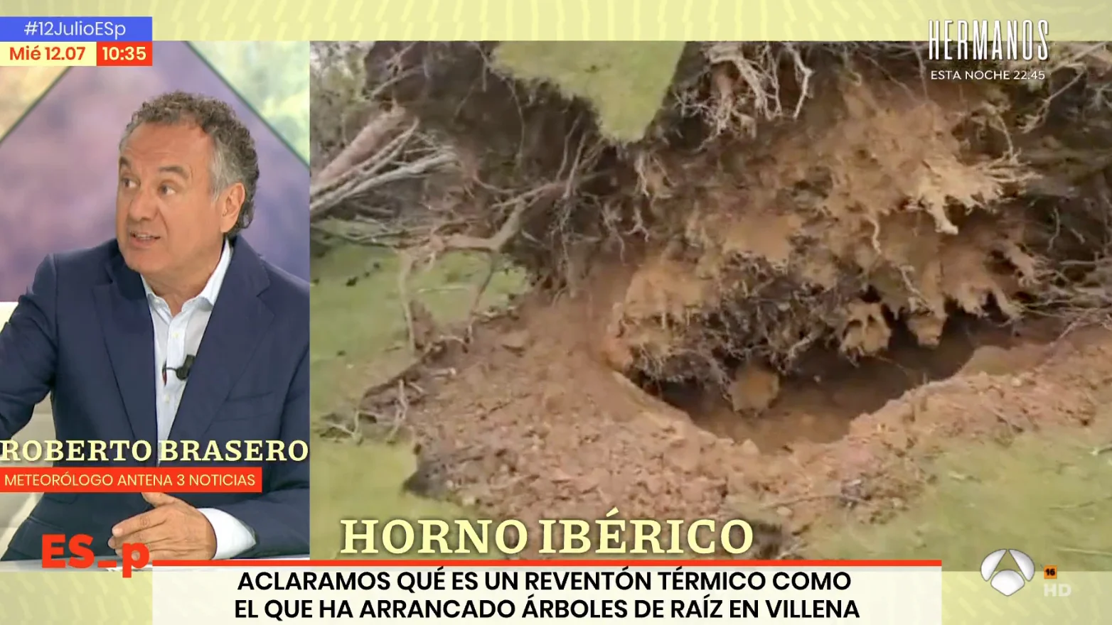 Efectos de la ola de calor: el reventón térmico que ha arrancado árboles en Villena, Pinoso y Caudete Efectos de la ola de calor: el reventón térmico que ha arrancado árboles en Villena, Pinoso y Caudete
