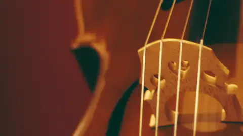 Violonchelo Violonchelo