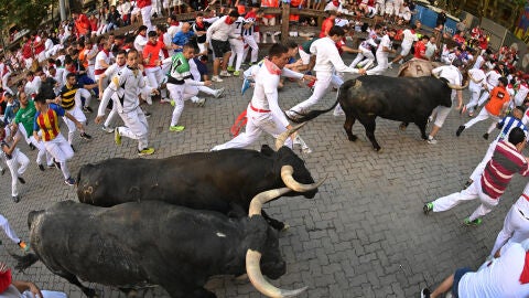 El octavo encierro de los Sanfermines ha sido protagonizado por los toros de la ganader&iacute;a sevillana de Miura