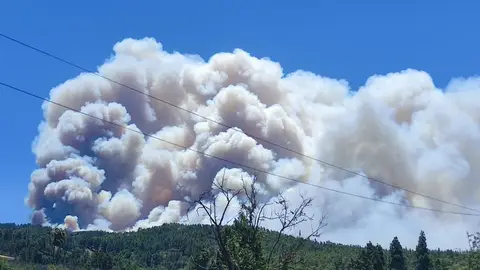 Incendio de Puntagorda| La Palma Incendio de Puntagorda| La Palma
