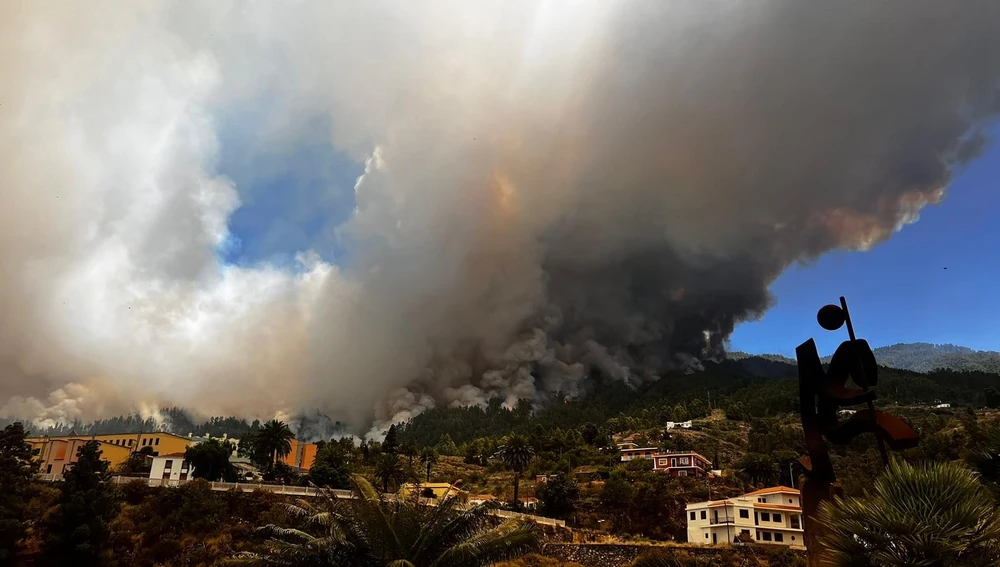 Incendio forestal en Puntagorda | La Palma