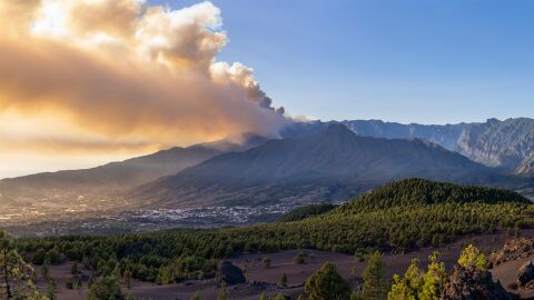 Incendio en La Palma 