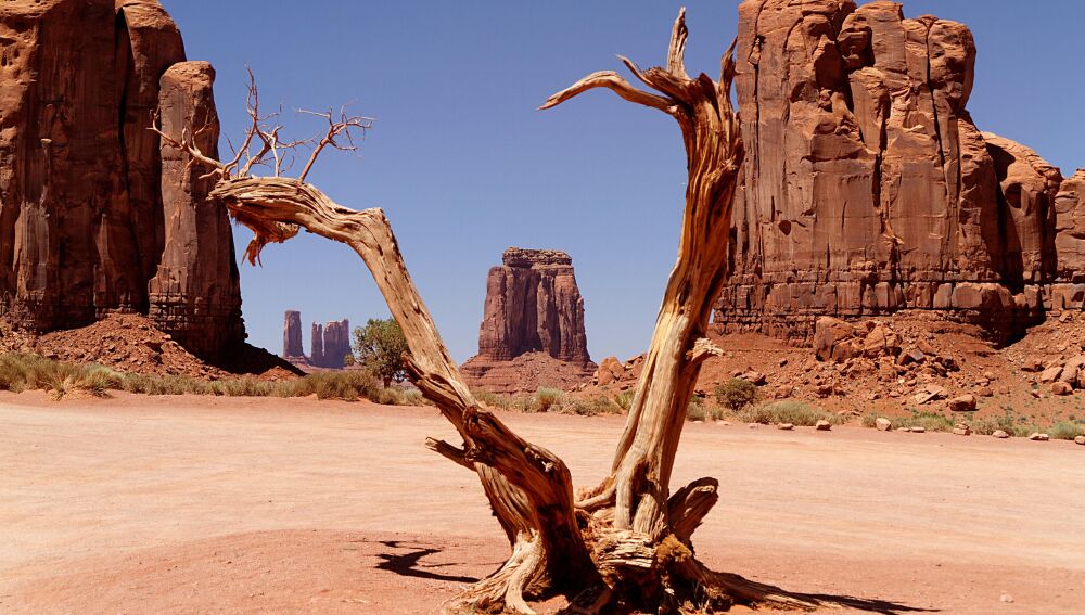Desierto de Arizona