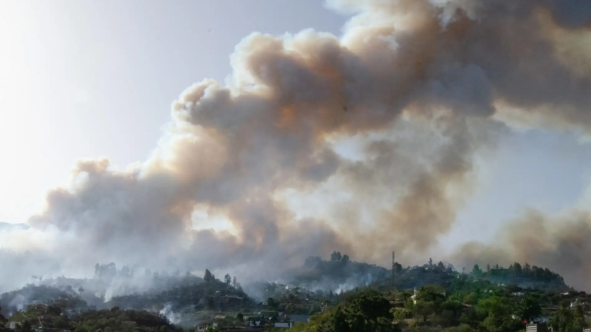 Incendio en La Palma afectando a Tijarafe y Puntagorda