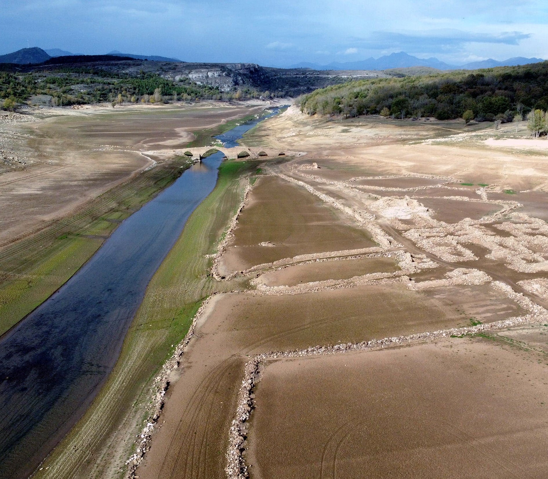 Asaja denuncia que el Gobierno de España ha excluido a Palencia de inversiones urgentes por la sequía Asaja denuncia que el Gobierno de España ha excluido a Palencia de inversiones urgentes por la sequía