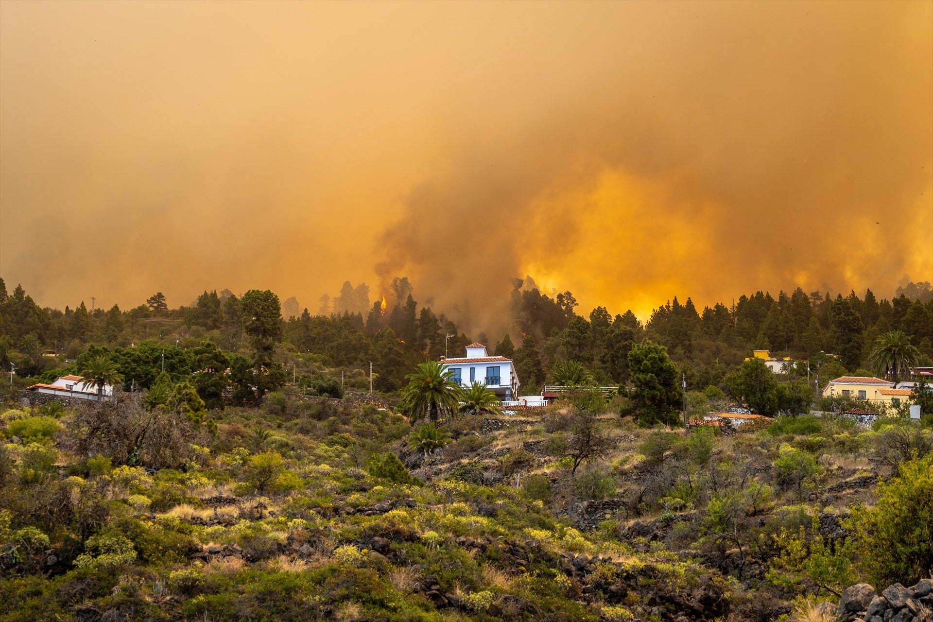 La evolución del incendio sigue siendo favorable aunque preocupa La Caldera de Taburiente La evolución del incendio sigue siendo favorable aunque preocupa La Caldera de Taburiente