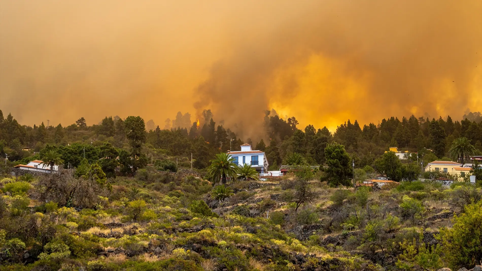 LLamas cerca de una vivienda en el incendio forestal declarado en la Palma, a 15 de julio de 2023, en Puntagorda, La Palma