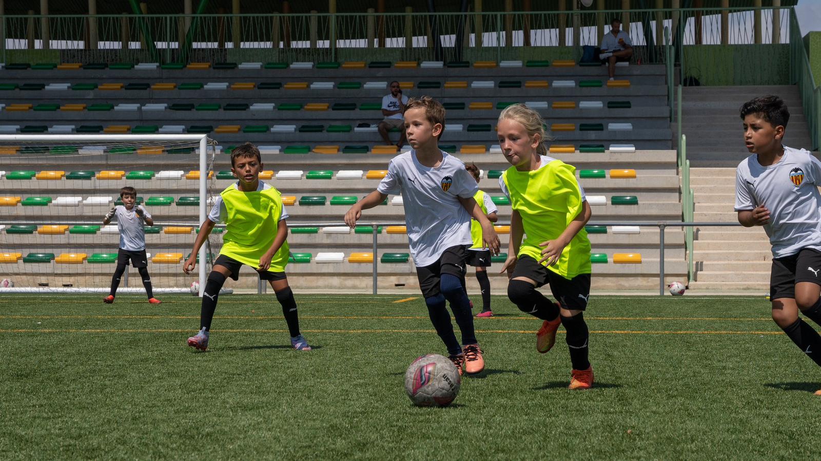 Mas de 2000 niños y jóvenes se dan cita este verano en las instalaciones deportivas de Torrevieja Mas de 2000 niños y jóvenes se dan cita este verano en las instalaciones deportivas de Torrevieja