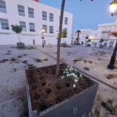 Los maceteros destrozados de la Plaza Mayor de Chiclana Los maceteros destrozados de la Plaza Mayor de Chiclana