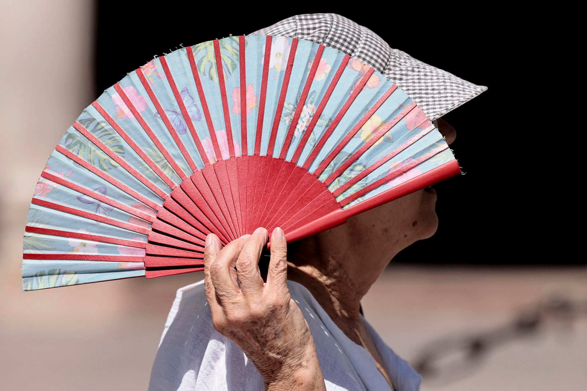 Baleares cierra julio con un ascenso de las temperaturas que activarán alertas en Mallorca y con el mar a 28ºC Baleares cierra julio con un ascenso de las temperaturas que activarán alertas en Mallorca y con el mar a 28ºC
