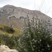 Sierra de Crevillent.