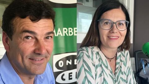 Elecciones