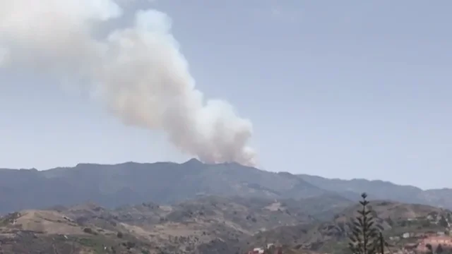 Se declara un incendio forestal en Gran Canaria