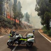 Comienzan los desalojos en zonas próximas al incendio de Gran Canaria