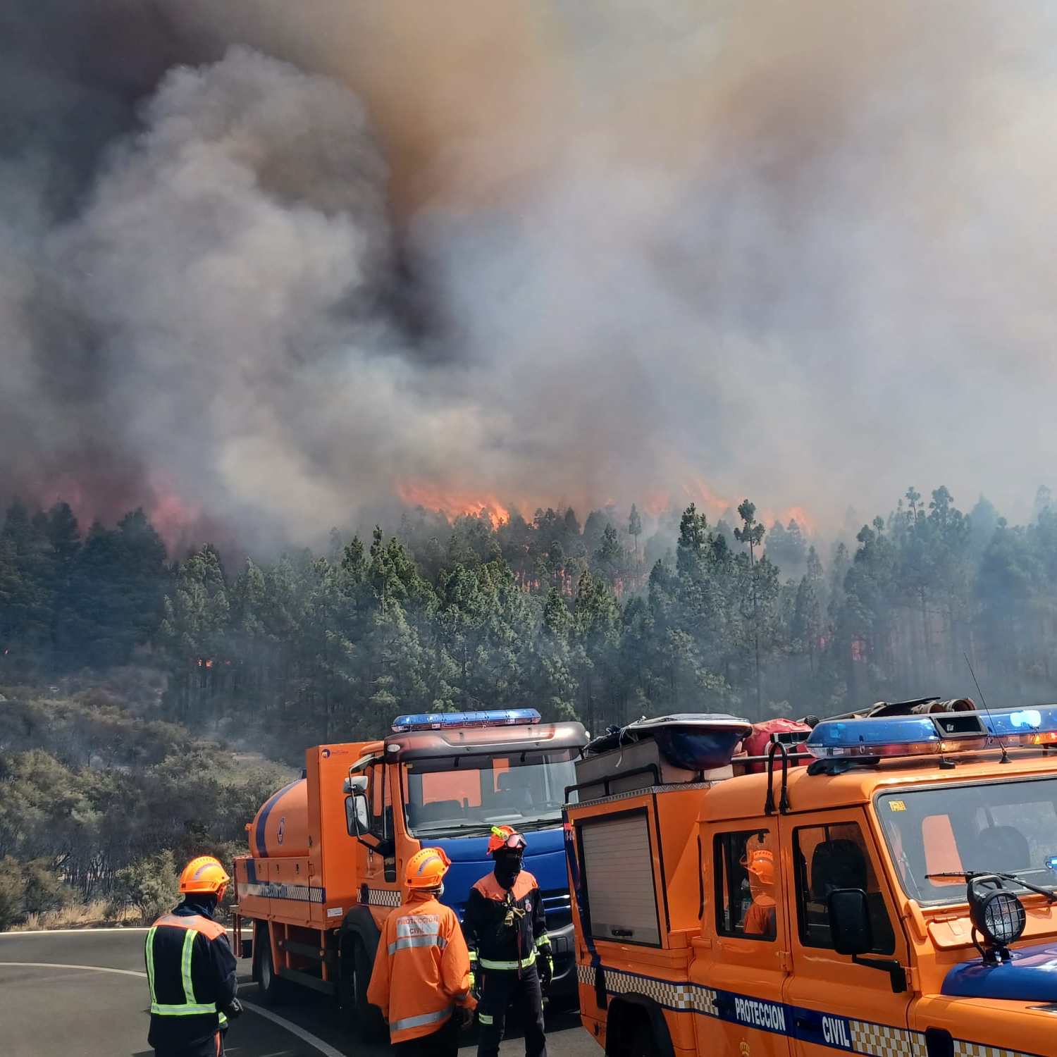 Una imprudencia en el manejo de una desbrozadora posible causa del incendio forestal de Gran Canaria Una imprudencia en el manejo de una desbrozadora posible causa del incendio forestal de Gran Canaria