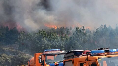 Bomberos y operarios del Cabildo de Gran Canaria combaten el fuego originado ayer en Tejeda