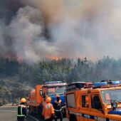 Bomberos y operarios del Cabildo de Gran Canaria combaten el fuego originado ayer en Tejeda