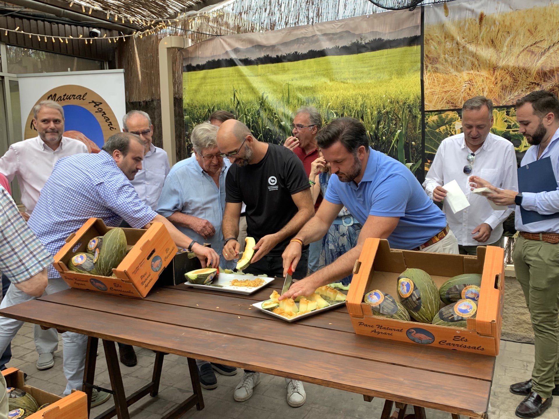 El calor extremo y las lluvias reducen en más del 50% la producción en Elche del melón de Carrizales de este año El calor extremo y las lluvias reducen en más del 50% la producción en Elche del melón de Carrizales de este año