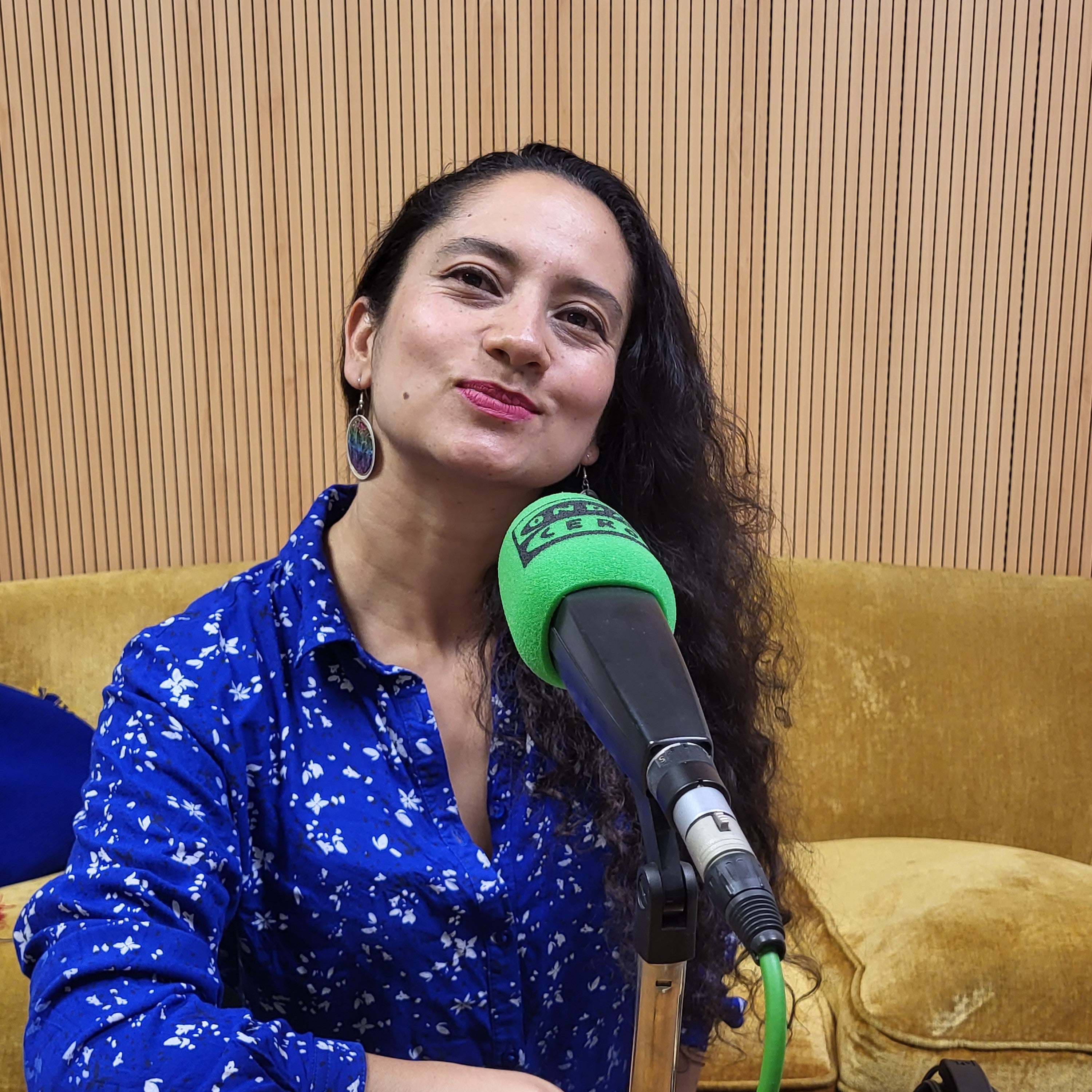 Ribadavia "Revive" esta fin de semana Ribadavia "Revive" esta fin de semana