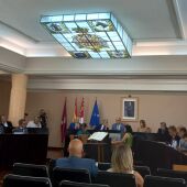 Pleno Diputación