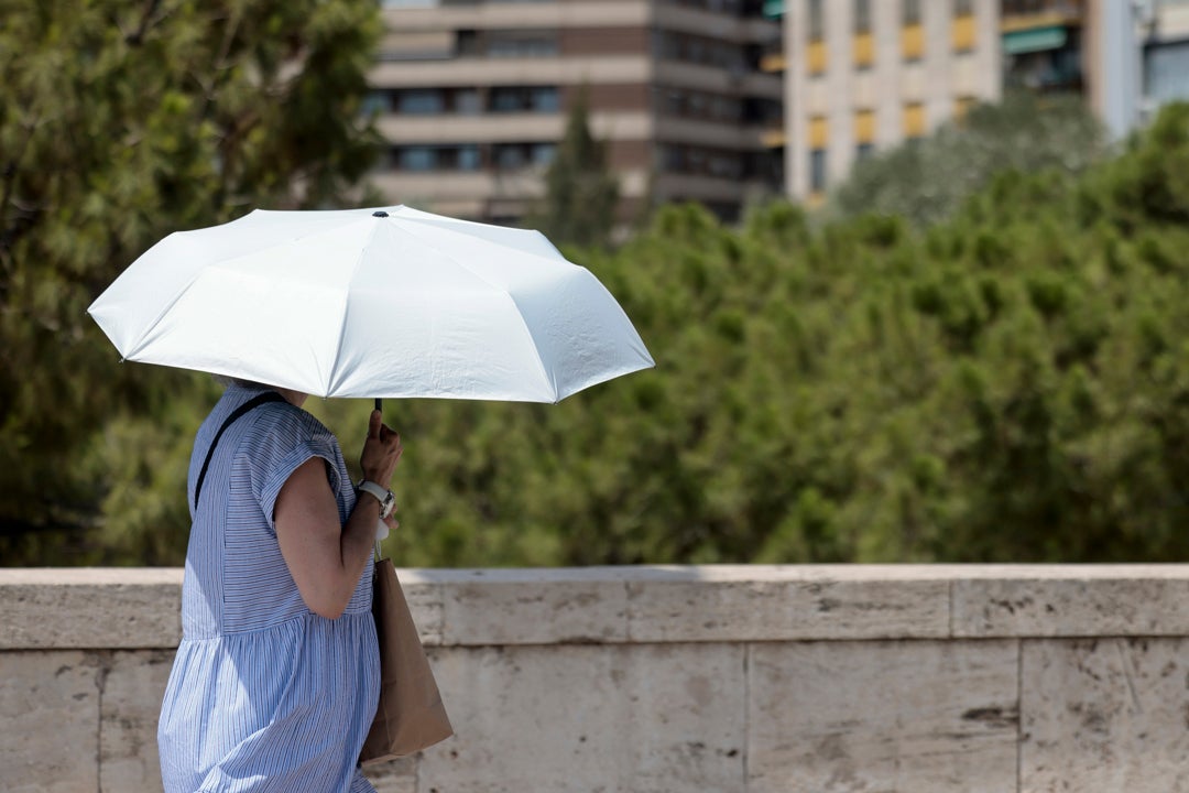 Julio termina con temperaturas extremas y calor de canícula: estas son las zonas más afectadas Julio termina con temperaturas extremas y calor de canícula: estas son las zonas más afectadas