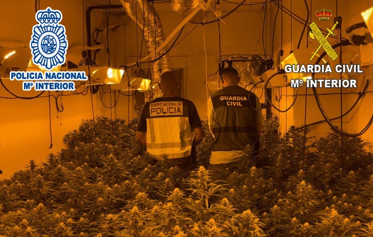 La Guardia Civil y la Policía Nacional desarticulan un grupo que distribuía droga desde Villena a la provincia, Albacete y Murcia La Guardia Civil y la Policía Nacional desarticulan un grupo que distribuía droga desde Villena a la provincia, Albacete y Murcia