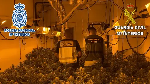 La Guardia Civil y la Policía Nacional desarticulan un grupo que distribuía droga desde Villena a la provincia, Albacete y Murcia. La Guardia Civil y la Policía Nacional desarticulan un grupo que distribuía droga desde Villena a la provincia, Albacete y Murcia.